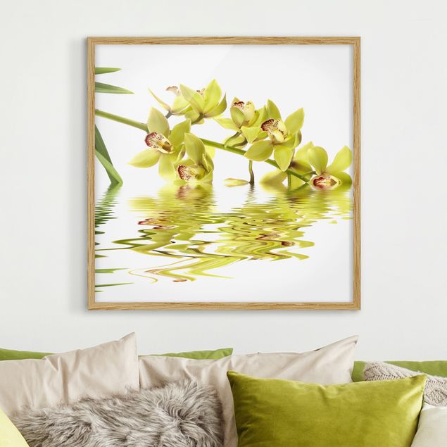 Cuadros de orquideas blancas Elegant Orchid Waters