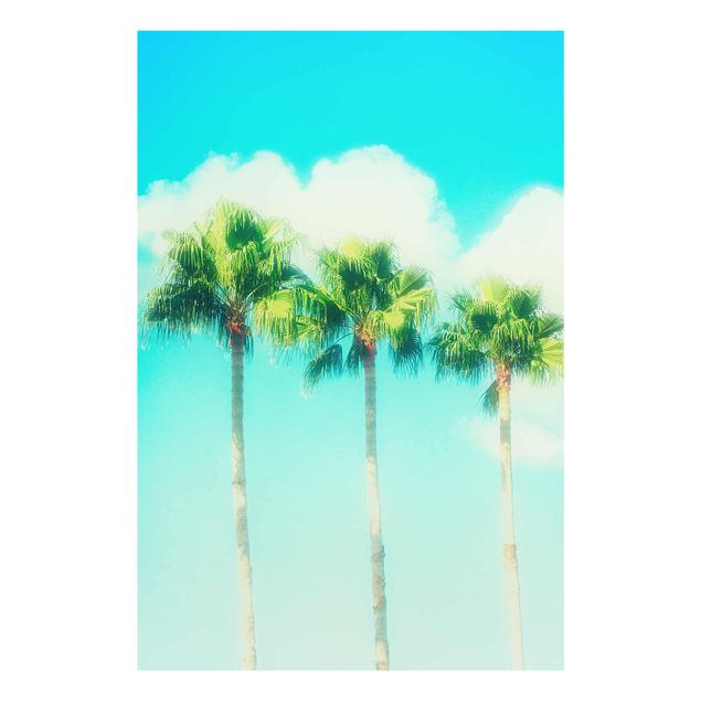 Cuadros de flores Palm Trees Against Blue Sky