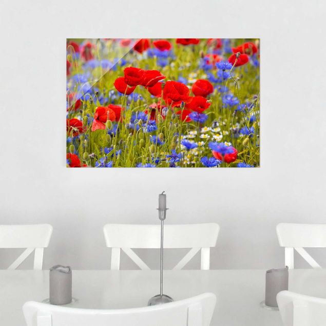 Cuadros de cristal amapolas Summer Meadow With Poppies And Cornflowers