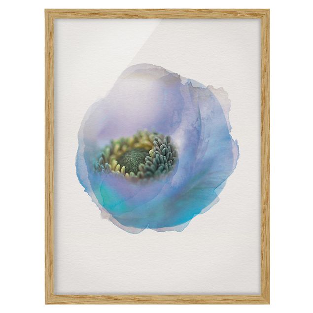 Cuadros flores WaterColours - Anemone On The River