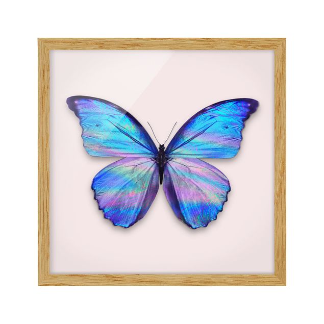 Cuadros de mariposas Holographic Butterfly