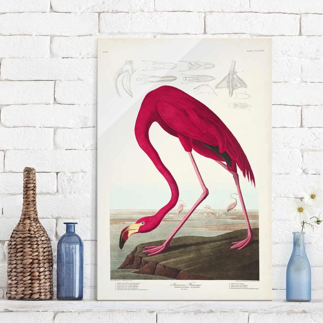 Decoración de cocinas Vintage Board American Flamingo