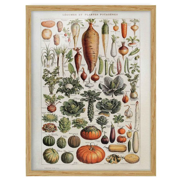 Cuadros de plantas naturales Vintage Board Vegetables