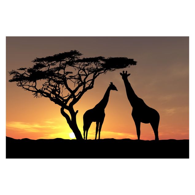 Papel pintado moderno African Sunset