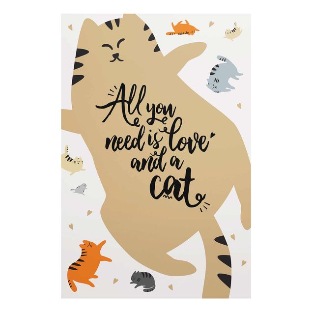 Cuadros con frases All You Need Is Love And A Cat Cat Belly