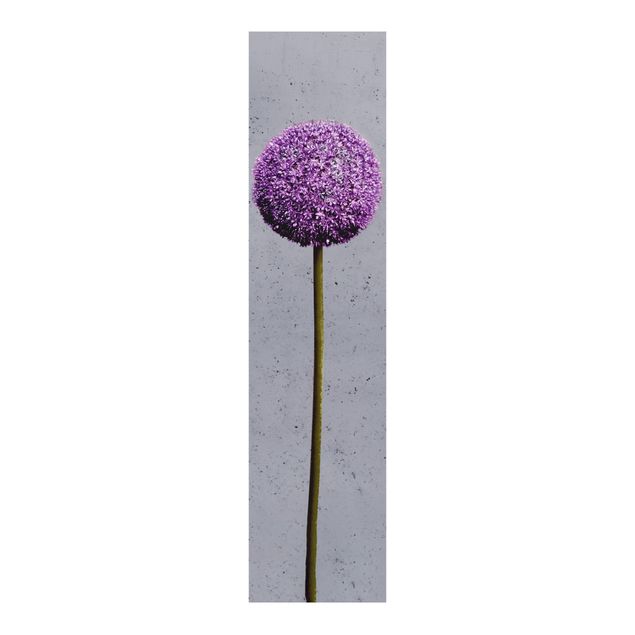 Paneles japoneses flores Allium Round-Headed Flower