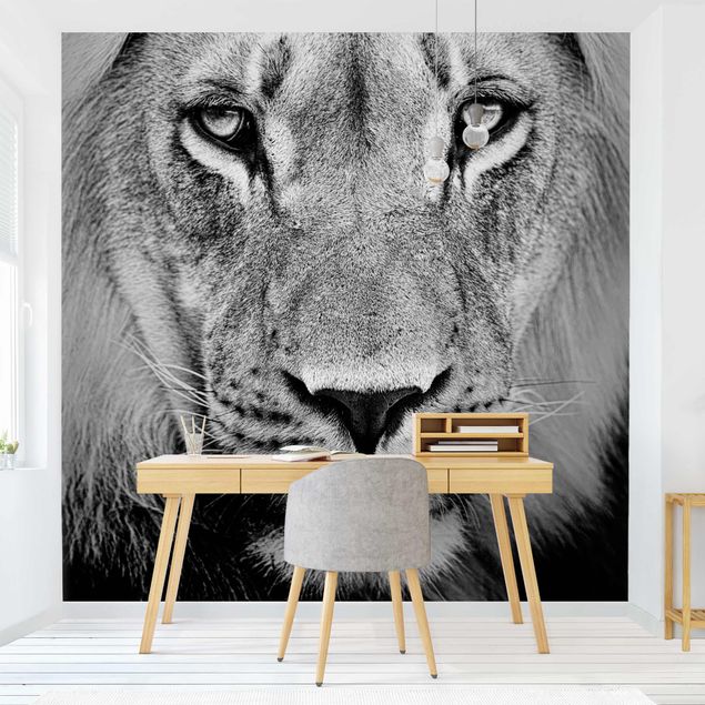 Papel pintado gatos Old Lion