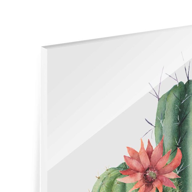 Tableros magnéticos de vidrio Watercolour Cacti Illustration