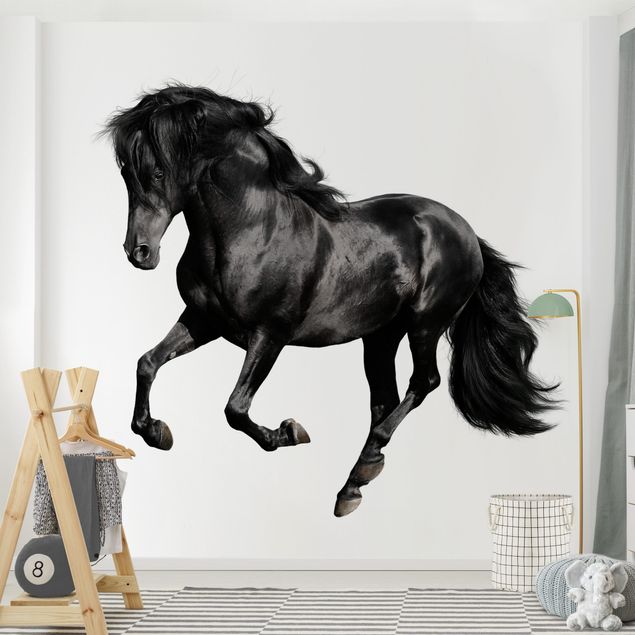 Papel pintado de caballos Arabian Stallion