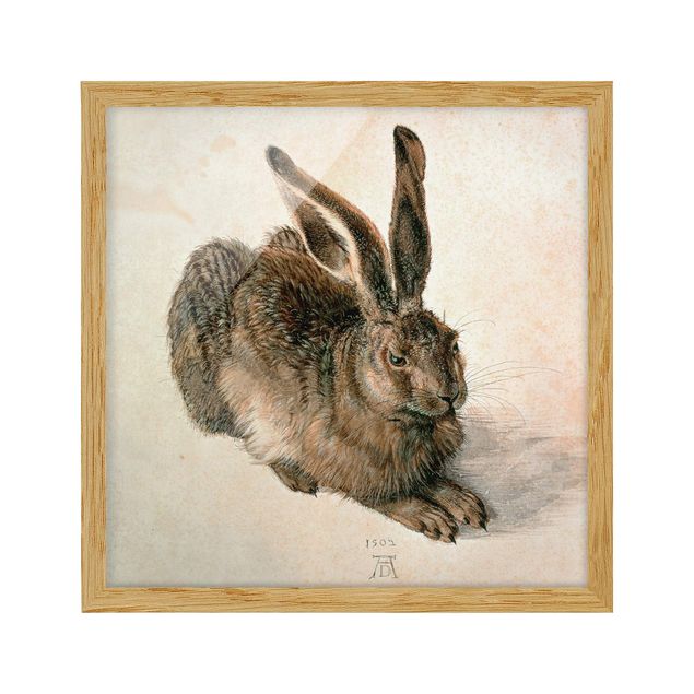 Pósters enmarcados de animales Albrecht Dürer - Young Hare