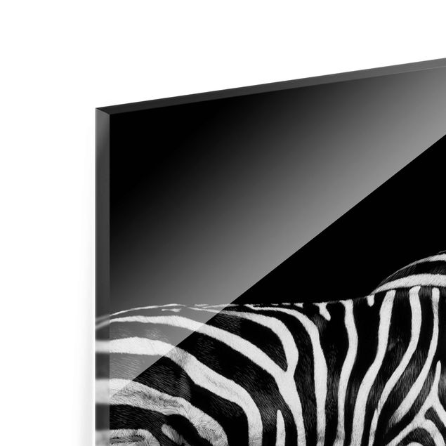 Cuadros Zebra In The Dark