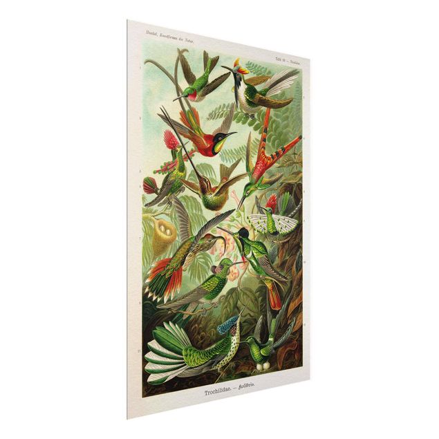 Cuadros de flores modernos Vintage Board Hummingbirds