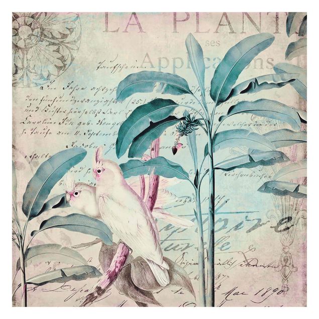 Papel pintado turquesa Colonial Style Collage - Cockatoos And Palm Trees