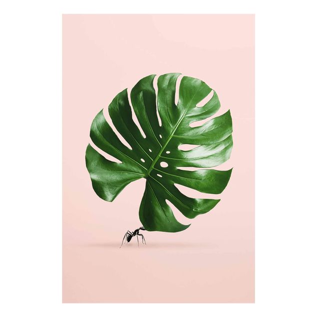 Cuadros de flores Ant With Monstera Leaf