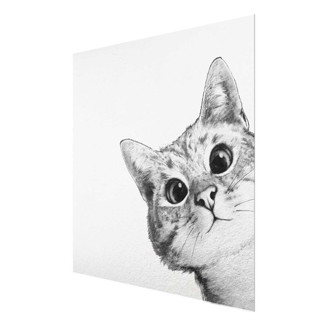 Cuadros de cristal animales Illustration Cat Drawing Black And White