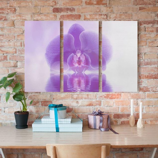 Lienzos de orquídeas Purple Orchid On Water