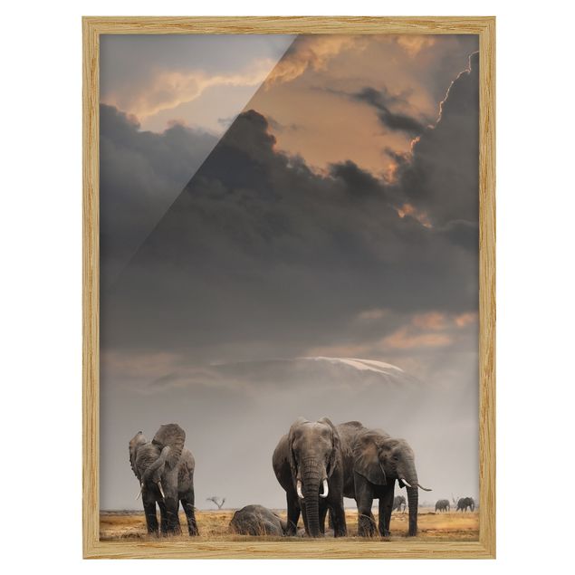 Pósters enmarcados de paisajes Elephants in the Savannah