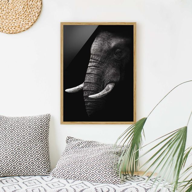 Cuadro elefante colores Dark Elephant Portrait