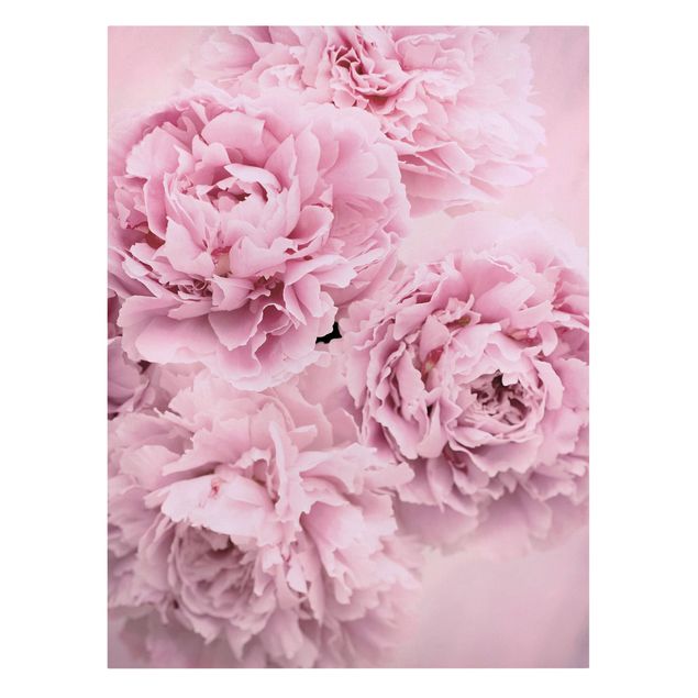 Cuadros flores Pink Peonies