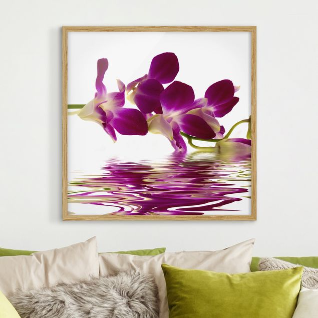 Cuadros con orquideas Pink Orchid Waters