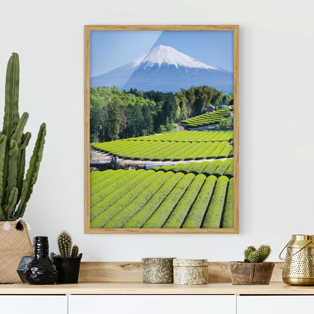 Decoración en la cocina Tea Fields In Front Of The Fuji