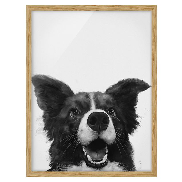 Pósters enmarcados de animales Illustration Dog Border Collie Black And White Painting