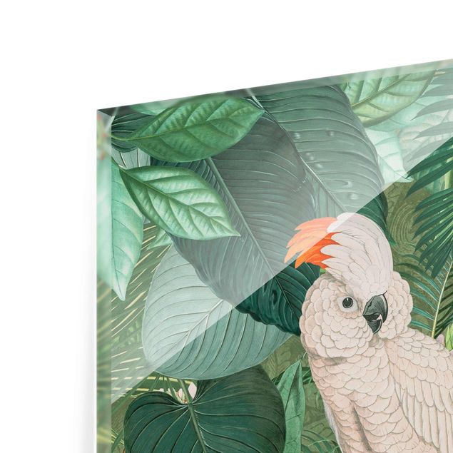 Cuadros modernos Vintage Collage - Kakadu And Hummingbird