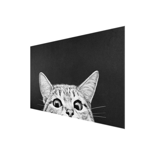 Cuadros de cristal animales Illustration Cat Black And White Drawing