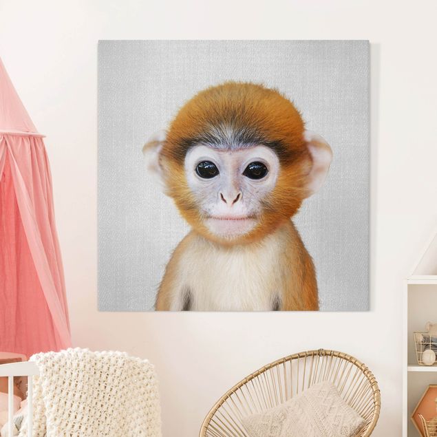 Lienzos de monos Baby Monkey Anton