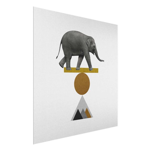 Cuadros modernos Art Of Balance Elephant
