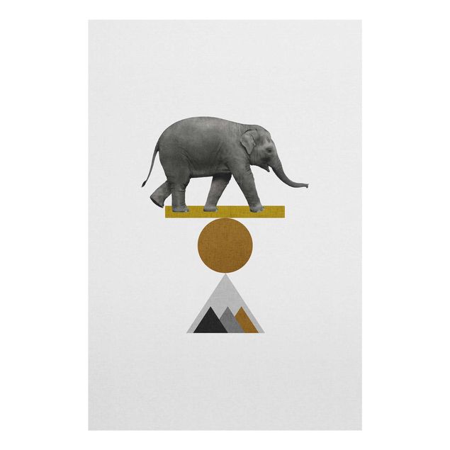 Cuadros para salones grises Art Of Balance Elephant