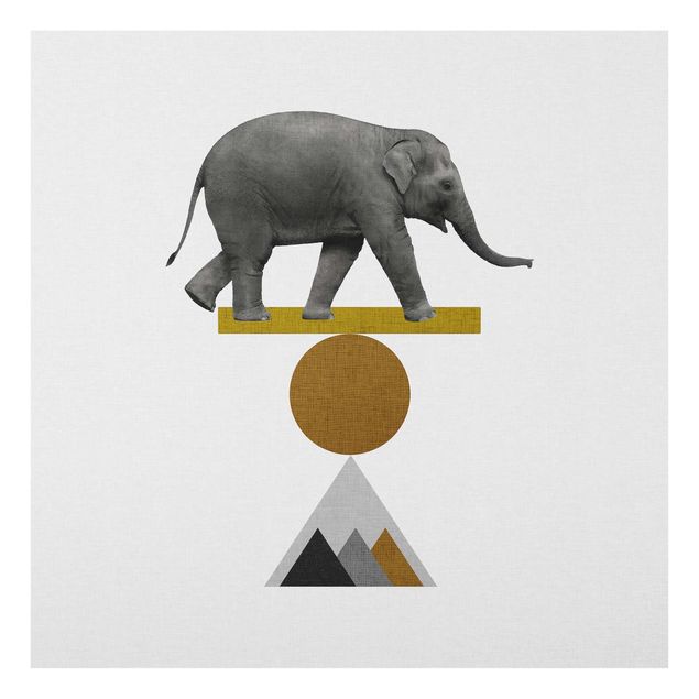 Cuadros grises Art Of Balance Elephant