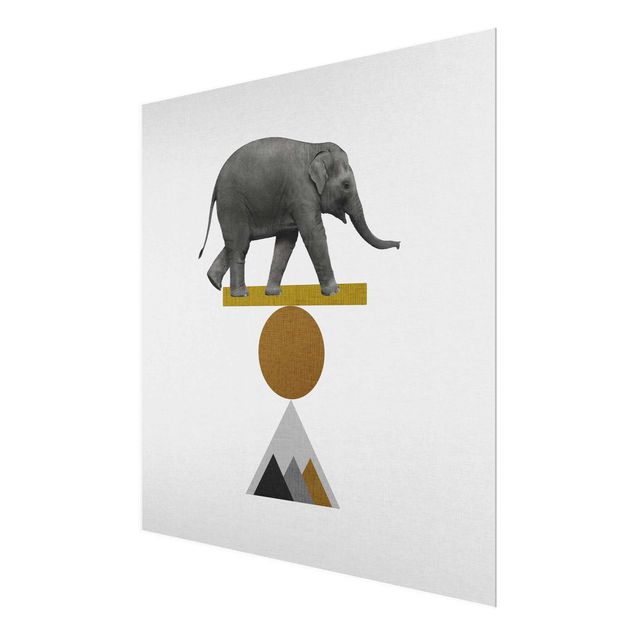 Cuadros Art Of Balance Elephant