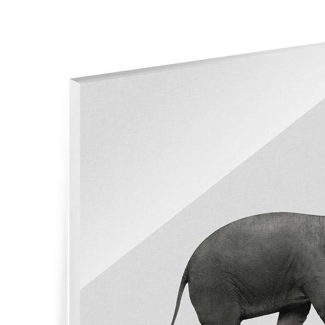 Tableros magnéticos de vidrio Art Of Balance Elephant