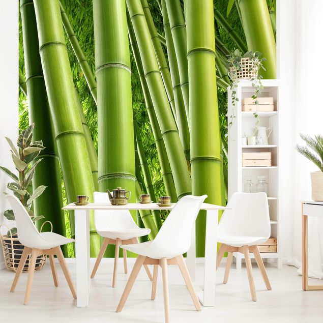 Papeles pintados modernos Bamboo Trees