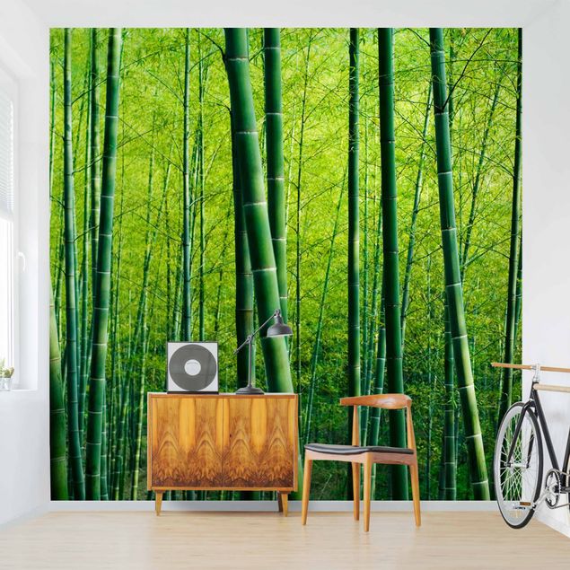 Papel pintado paisajes Bamboo Forest