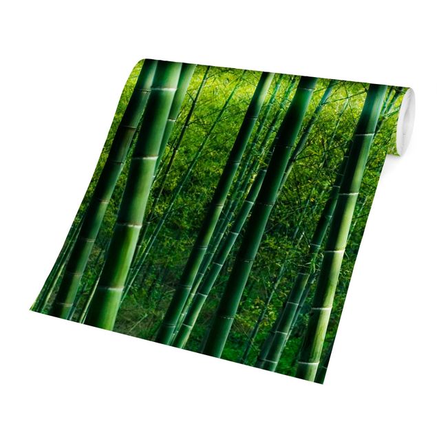 Papel pintado verde Bamboo Forest