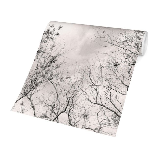 Papel pared gris Treetops In The Sky In Warm Grey
