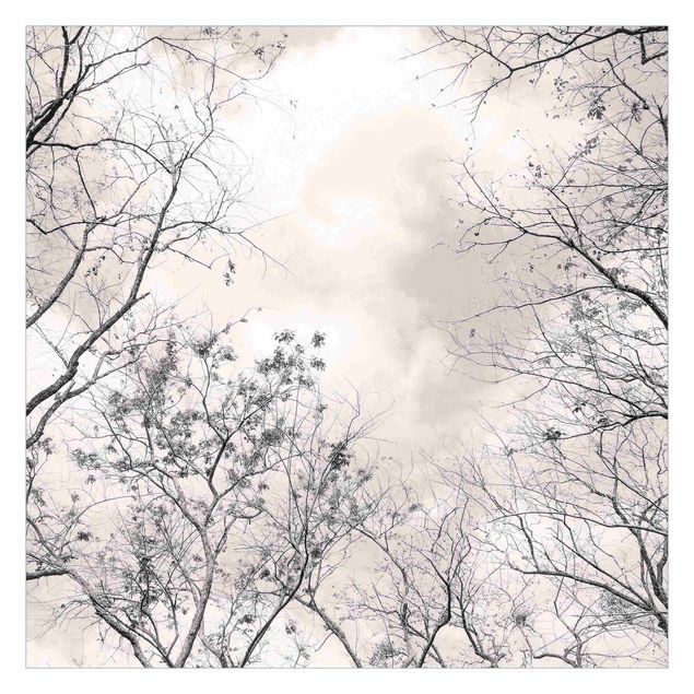 Papel de pared Treetops In The Sky In Warm Grey