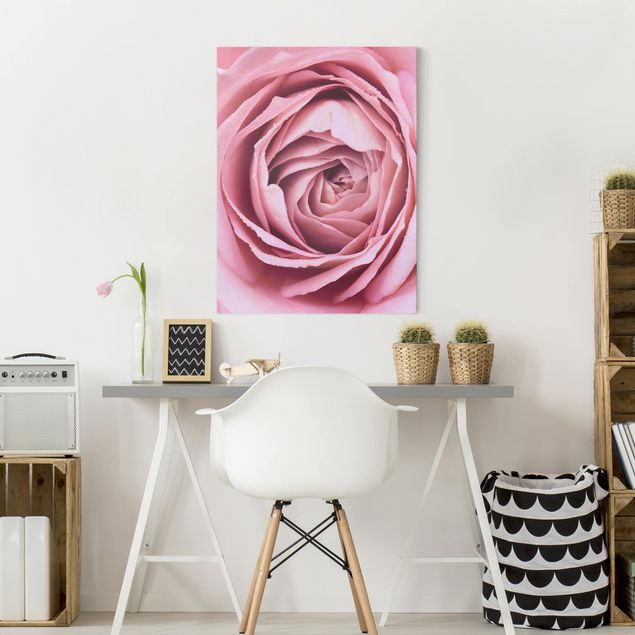 Lienzos de flores Pink Rose Blossom