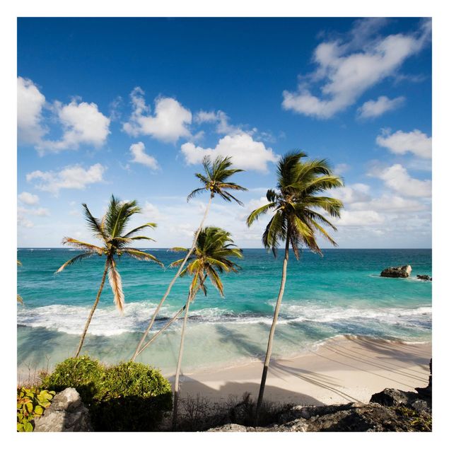Papel pintado paisajes naturales Beach Of Barbados