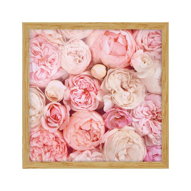 Cuadros de flores modernos Roses Rosé Coral Shabby