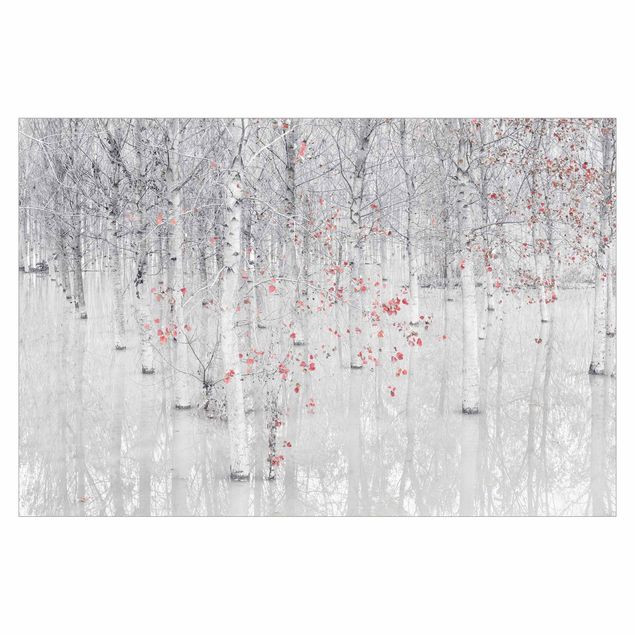 Papel pintado Birch Tree Forest With Light Pink Leaves