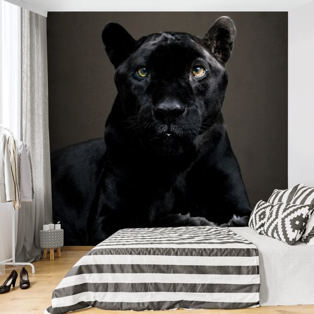 Papel pintado gatos Black Puma
