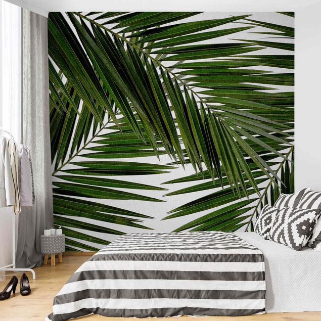 Papel pintado floral View Through Green Palm Leaves