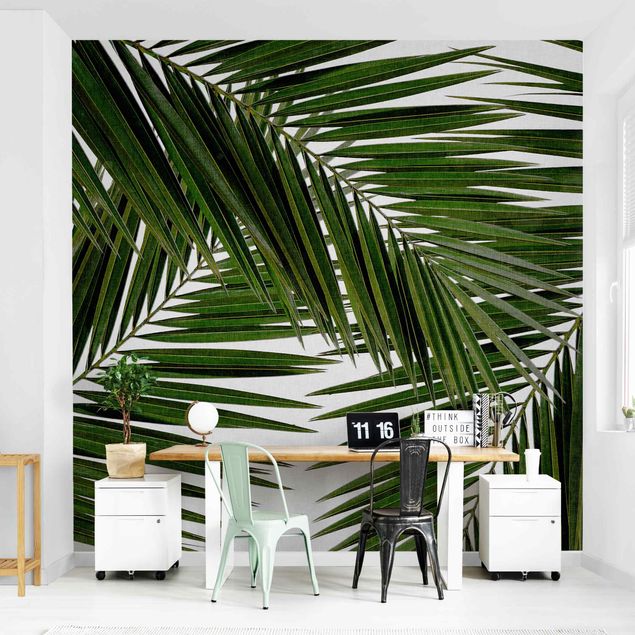 Papel pintado moderno View Through Green Palm Leaves