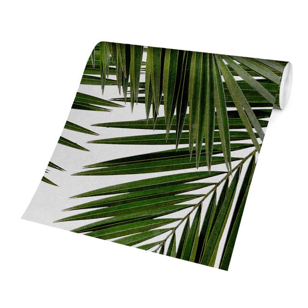 Papel pintado verde View Through Green Palm Leaves