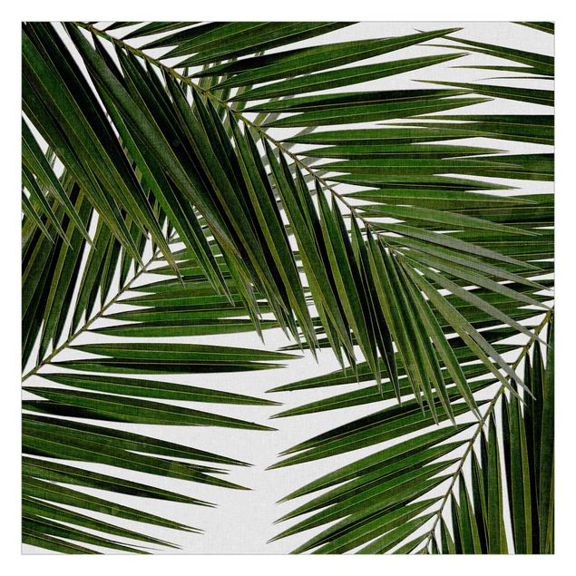 Papel pintado View Through Green Palm Leaves