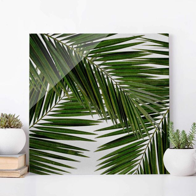 Decoración de cocinas View Through Green Palm Leaves