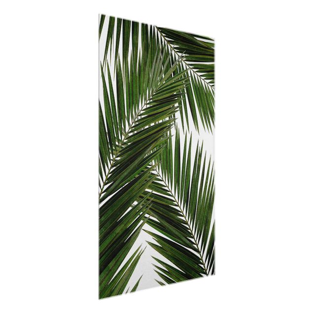 Cuadros de plantas naturales View Through Green Palm Leaves